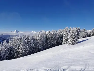 a snow covered slope with snow covered trees on a mountain at Melba Megeve emplacement de rêve dans le village au calme in Megève