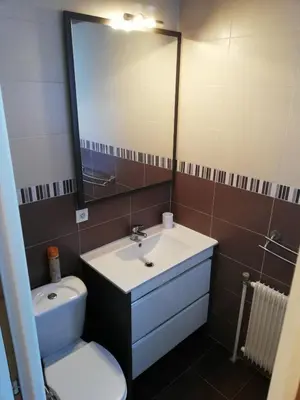a bathroom with a sink and a toilet and a mirror at Apparement cosy 4 personnes in Samoëns