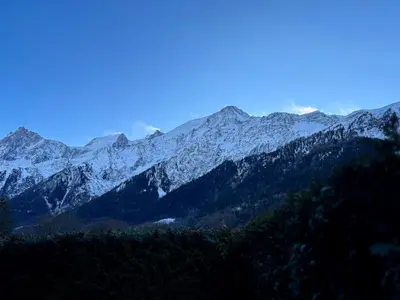 a snow covered mountain range with trees in the foreground at Le Cocon du Prarion in Les Houches