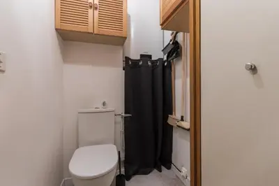 a bathroom with a toilet and a black shower curtain at Le Cocon du Prarion in Les Houches