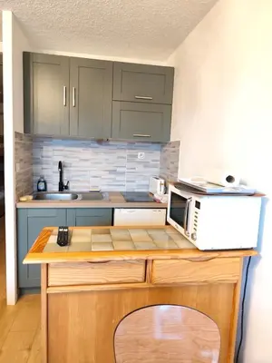 a kitchen with a counter with a microwave on it at Le Nid d'Amélie Studio 4 people mountain view in Combloux