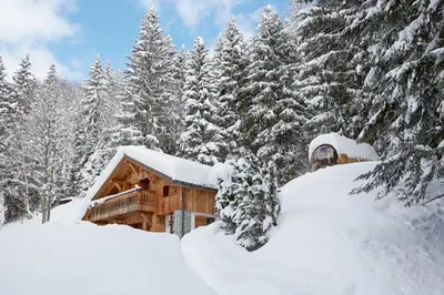 a log cabin covered in snow next to trees at Marmotte Mountain Retreat in Chamonix-Mont-Blanc