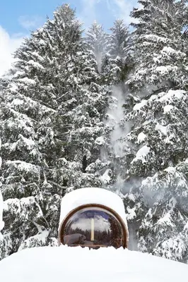 a mirror in front of a group of snow covered trees at Marmotte Mountain Retreat in Chamonix-Mont-Blanc