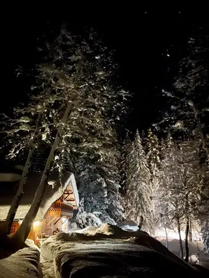 a person sitting in front of a house with snow covered trees at Marmotte Mountain Retreat in Chamonix-Mont-Blanc