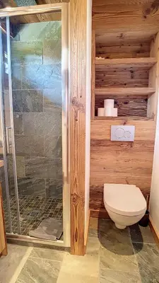 a bathroom with a toilet and a glass shower at Riante Colline Edelweiss - PROCHE CENTRE 3 chambres- balcon in Megève