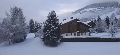 a house is covered in snow in front of trees at Saint Michel - JAILLET - grand 3 chambres in Megève