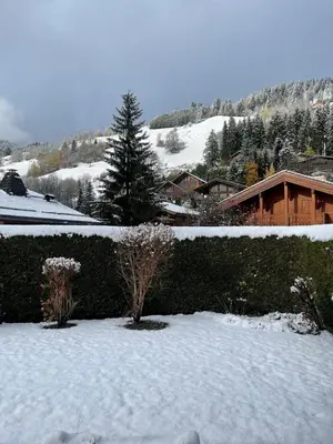 a yard covered in snow with a hedge at Red Fir Chalet in Megève