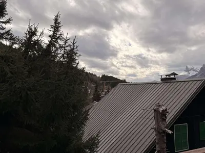 a roof of a building with a bird house on it at Studio mezzanine ensoleillé, proche pistes, Les Carroz d'Arâches - FR-1-572-346 in Arâches-la-Frasse