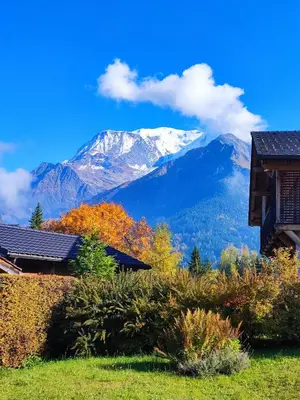 a mountain in the distance with trees and houses at Le pied des pistes télésiège des chattrix in Saint-Gervais-les-Bains