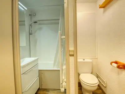 a small bathroom with a toilet and a shower at Bel appartement 1 chambre, coin montagne, balcon, animaux admis - FR-1-642-107 in Morillon
