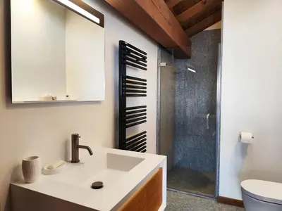 a bathroom with a sink and a shower at Les trois Massifs in Saint-Gervais-les-Bains