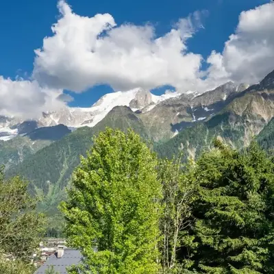 Lyret - Moderne 2CH 2SDB Vue MtBlanc 250m Remontee