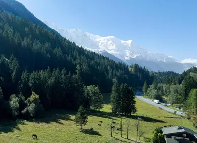 a view of a field with trees and a mountain at Les Iles - Chalet 165m2 Vue Mont Familial 10 pax in Chamonix-Mont-Blanc