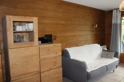 a living room with a chair and a wooden wall at LES BEULETTES b in Samoëns