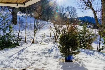 a snow covered yard with trees and a house at Appartement Le Pacha - Proche Centre Ville in Megève