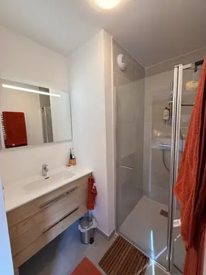 a bathroom with a sink and a shower at Contamines Montjoie appartement 2 chambres et cabine in Les Contamines-Montjoie