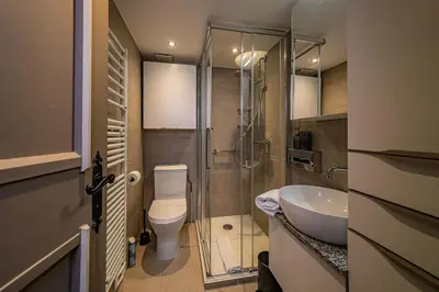a bathroom with a shower and a toilet and a sink at Balcons de Champraz- Spectacular Mont Blanc and Lake Views in Chamonix-Mont-Blanc