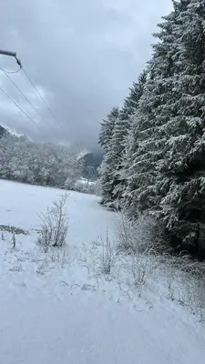 a field covered in snow with trees and power lines at Sympathique appartement à Samoëns in Samoëns