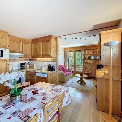 Appartement 3 Pièces avec Parking et Vue Mont Blanc - FR-1-560-174