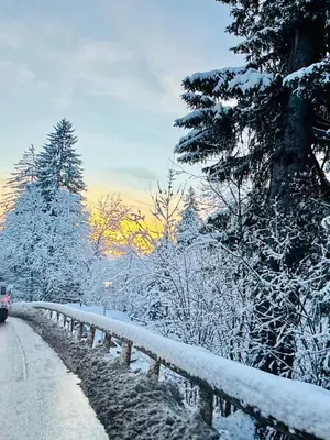 a road covered in snow next to some trees at Charming duplex in Hameau des Pistes ski in ski out in Megève
