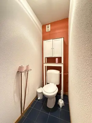 a small bathroom with a toilet in a room at Appartement face aux pistes Morillon 1100 in Morillon