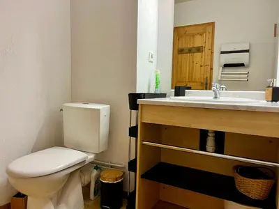 a bathroom with a toilet and a sink at Studio confortable dans résidence avec piscine in Samoëns