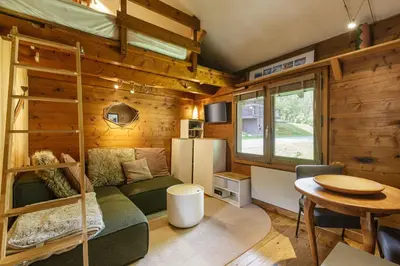 a living room with a green couch and a bunk bed at Baribal - Charmant Mazot Terrasse Nature Vue Parking in Chamonix-Mont-Blanc