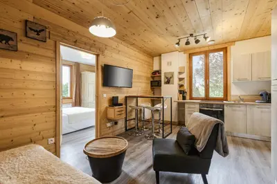 a living room with wooden walls and a kitchen with a tv at Epicea - Cosy 1CH 35m2 Centre Parking Calme WIFI in Chamonix-Mont-Blanc