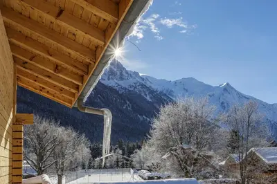 a view of the mountains from a house at Cyclamens - Cosy Chalet 500m Flegere Cheminee Vue Garage in Chamonix-Mont-Blanc