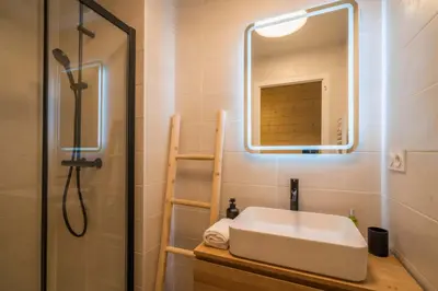 a bathroom with a sink and a shower with a mirror at Sapi Cocon 4pax Centre Jardin Remontees TV Wifi in Chamonix-Mont-Blanc