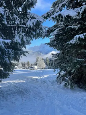 a snow covered road with trees and mountains in the background at Cocon Saint-Gervais in Saint-Gervais-les-Bains