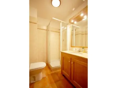 a bathroom with a toilet and a sink and a shower at Apartment Charmante Wohnung in Chamonix mit Südbalkon und Blick auf den Blanc by Interhome in Chamonix-Mont-Blanc