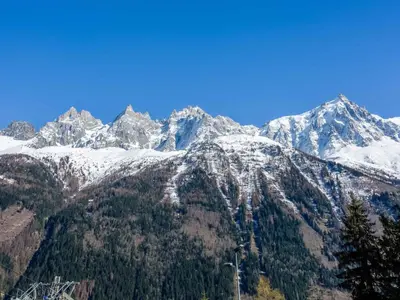 a snow covered mountain with trees in front of it at Apartment Wohnung in Chamonix Centre-Ville und Bergblick by Interhome in Chamonix-Mont-Blanc