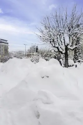 a pile of snow in front of a tree at Apartment Wohnung Alpines Museum by Interhome in Chamonix-Mont-Blanc