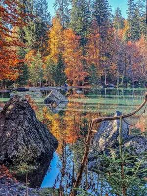a pond in the middle of a forest with fall foliage at La Tanière des Cimes Sauna privé in Passy
