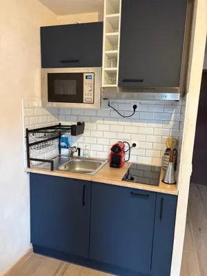a small kitchen with a sink and a microwave at Studio 2 personnes situation idéal a Sallanches 74400 in Sallanches