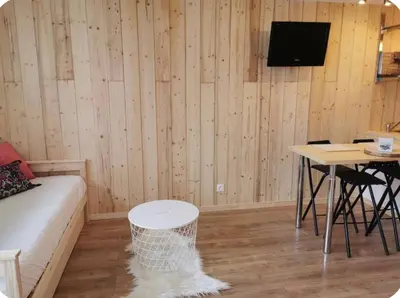 a room with a couch and a table and a tv at Jonquille 5 personnes in Chamonix-Mont-Blanc