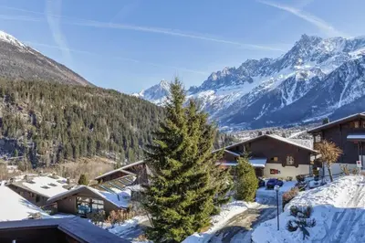 a christmas tree in front of a snowy mountain at Verny Appart 2CH Familiale Pied Pistes Piscine Vue in Les Houches