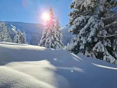 a snow covered slope with a tree with the sun behind it at Studio spacieux au pied des pistes avec terrasse et WIFI - FR-1-425-239 in Arâches-la-Frasse