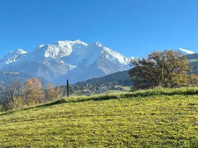 a green field with snow capped mountains in the background at Terrasse du MtBlanc in Combloux