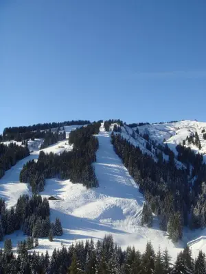 an aerial view of a snow covered mountain with trees at Terrasse du MtBlanc in Combloux