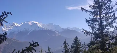 a view of a snow covered mountain with trees at Studio à 2 mn à pied des pistes de Mégève in Demi-Quartier