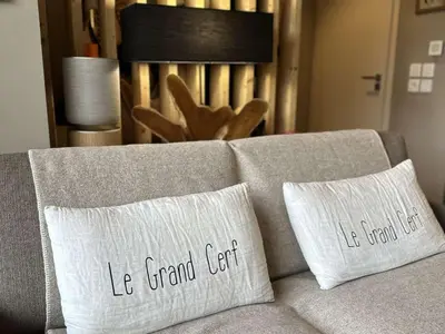 two pillows sitting on top of a couch at Appartement Familial 3 Pièces Pied de Piste avec Parking - FR-1-572-350 in Arâches-la-Frasse