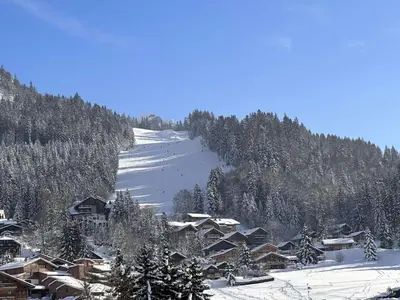 a snow covered mountain with houses and a ski slope at Appartement Familial 3 Pièces Pied de Piste avec Parking - FR-1-572-350 in Arâches-la-Frasse