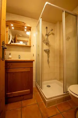 a bathroom with a shower and a toilet at 2 bedroom, balcony and parking near Bellevue lift in Les Houches