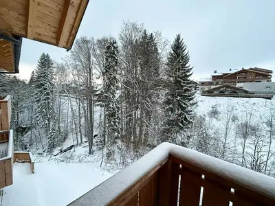 a view from a balcony of a snow covered forest at Renovated Flat At The Ski Bus Stop In Les Carroz in Arâches-la-Frasse