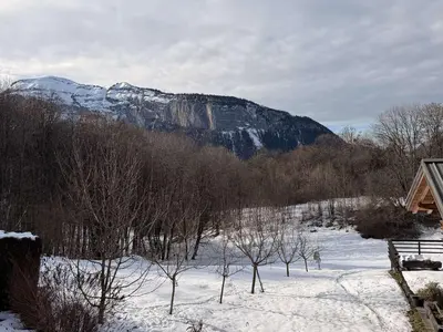 a snow covered field with trees and a mountain at Chalet lumineux pour 11 pers à 2 pas de Flaine avec parking - FR-1-572-351 in Arâches-la-Frasse
