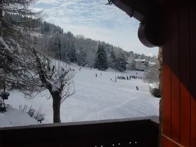 a view of a ski slope with skiers in the snow at 2 Pièces Cabine près des Pistes avec Parking Inclus - FR-1-572-352 in Arâches-la-Frasse