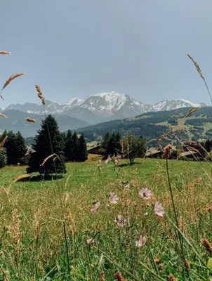 a field of grass with mountains in the background at Apartment near the slopes in Combloux in Combloux