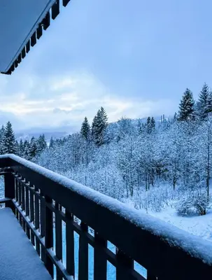 a bridge covered in snow with trees in the background at Apartment near the slopes in Combloux in Combloux